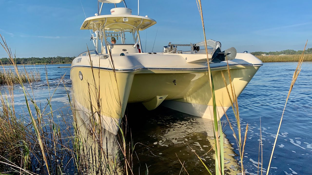 33’ World Cat Walkthrough