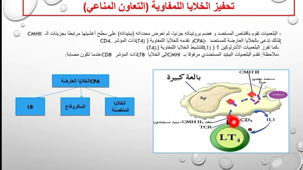ملخص المناعة بكالوريا الجزء الثالث الاستجابة الخلوية والتحفيز المناعي