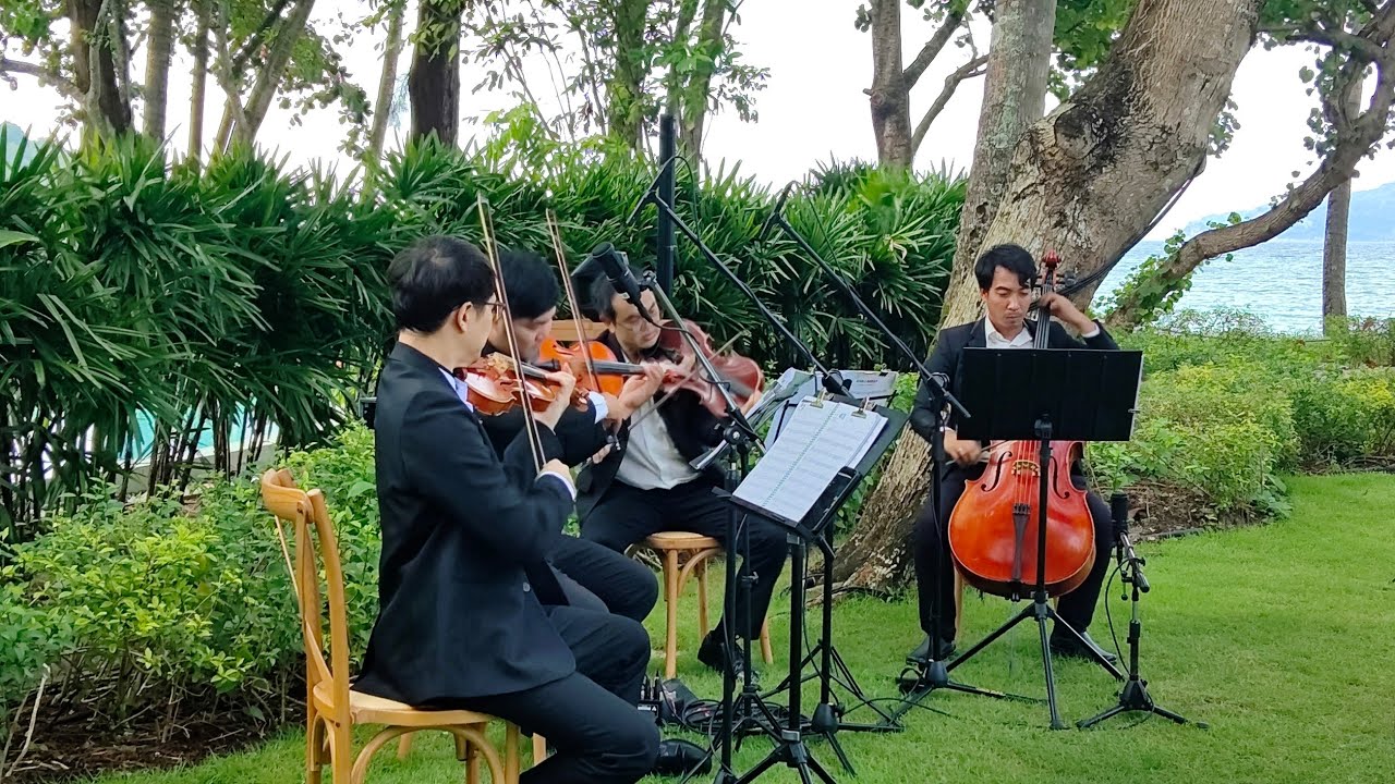 String Quartet - Music for Wedding and Event Cocktail Dinner Beach Lawn Garden Hotel Phuket Krabi