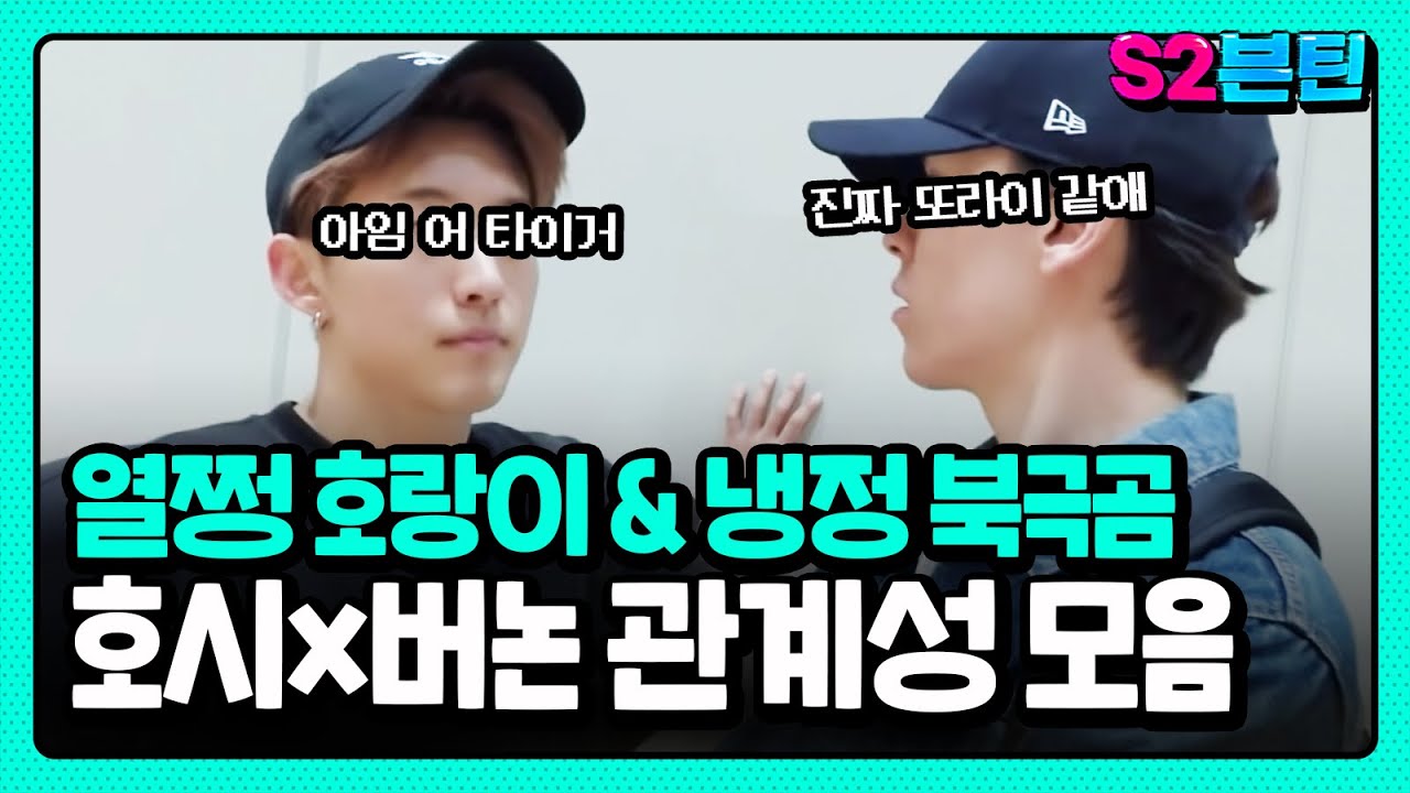 [세븐틴] S2븐틴 Ep.27 호시x버논 관계성 모음｜둘이 붙으면 적정온도! 쏘핫 아기호랑이와 쏘쿨 아기북극곰🐯🐻‍❄️