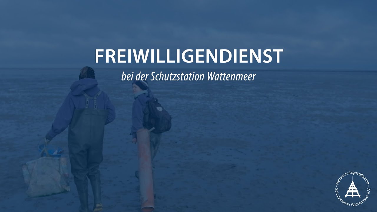 Freiwilligendienst bei der Schutzstation Wattenmeer