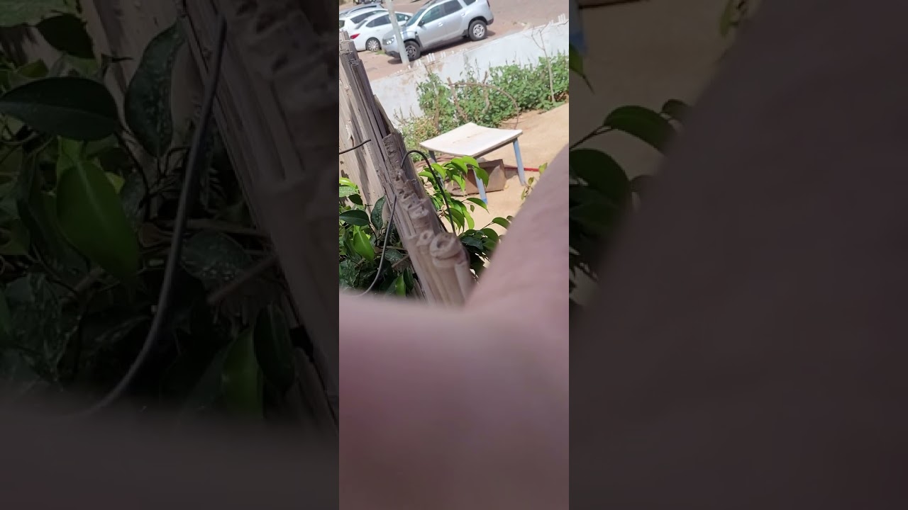 20/6/2023. שעה 15:20!!!!