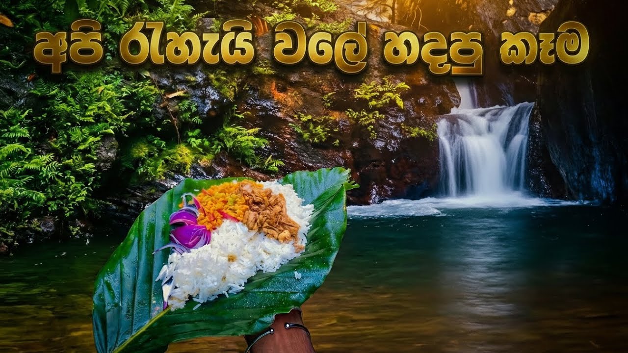 අපි රැහැයි වලේ කෑම හැදුවා #waterfall #cooking #wildcooking 