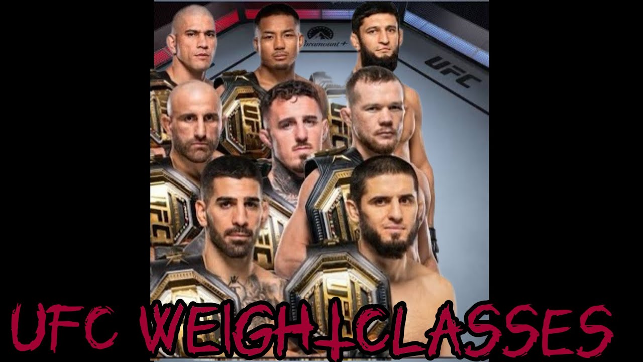 RANKING ALL UFC MALE WEIGHTCLASSES!