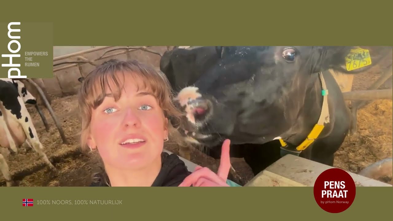 🐄#5 PENS PRAAT | Wat doet het winterrantsoen met fermentatie en pens-pH?