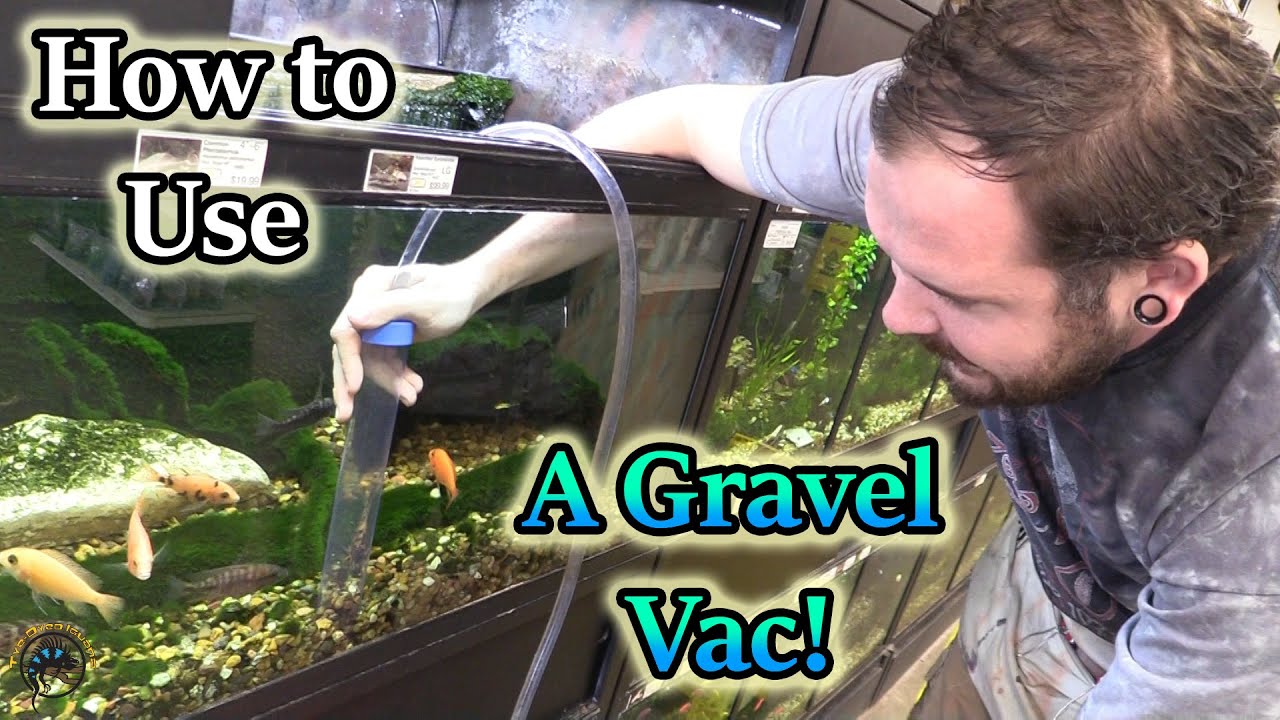 How to Use an Aqueon Siphon Vacuum Gravel Cleaner to Clean Your Aquarium!  🐠