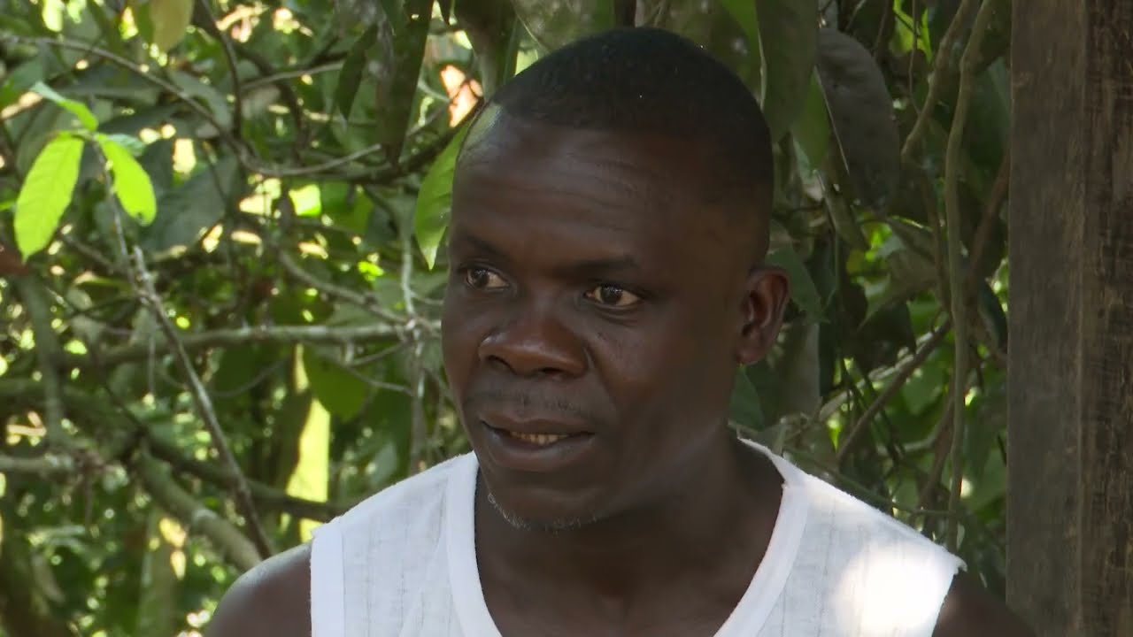 Documentary about the massive migration of cocoa farmers from Côte d'Ivoire to Liberia