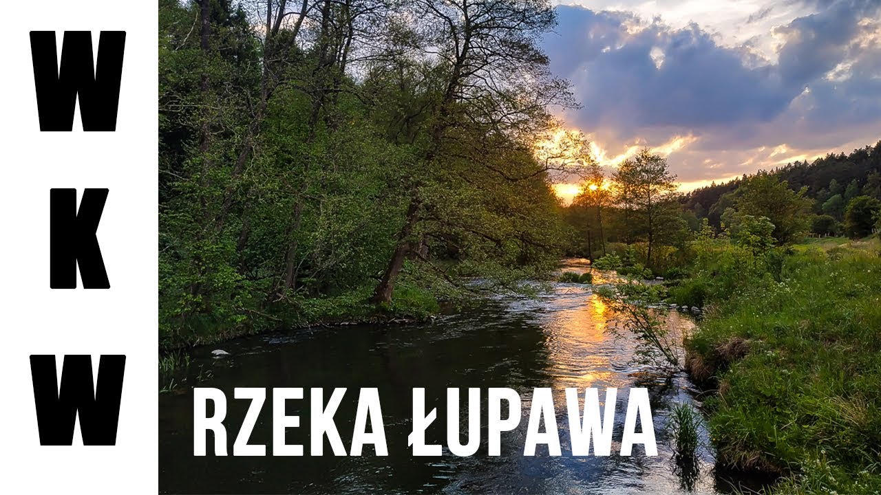 Wyprawa za pstrągiem na północ - rzeka Łupawa | Wędkarstwo muchowe z ekipą!