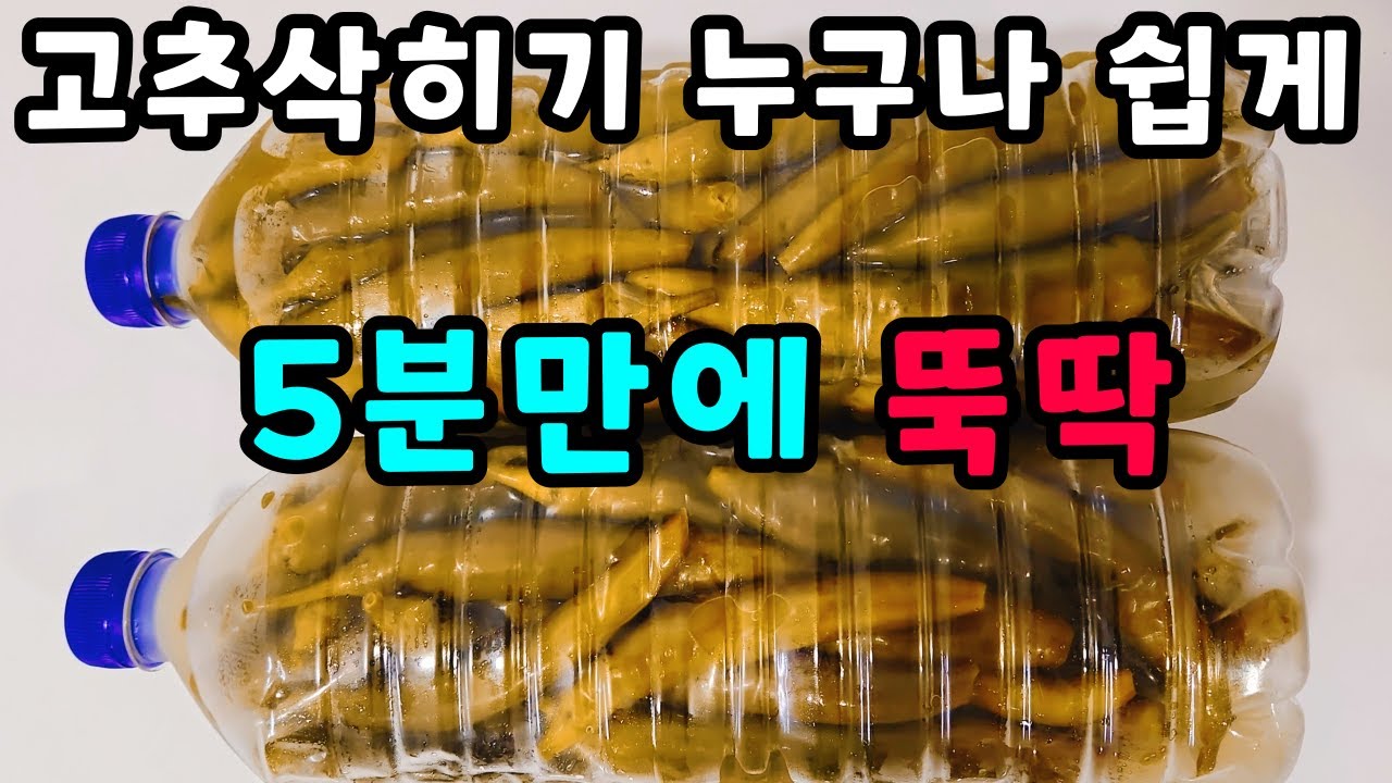 💚고추삭히기는 무조건 이렇게! 짜지 않고 골마지 안껴요! 누구나 쉽고간단 5분만에 뚝딱