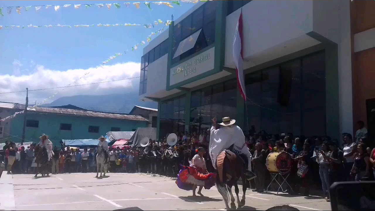 Caballo de paso bailando huayno en la fiesta patronal de La Peca