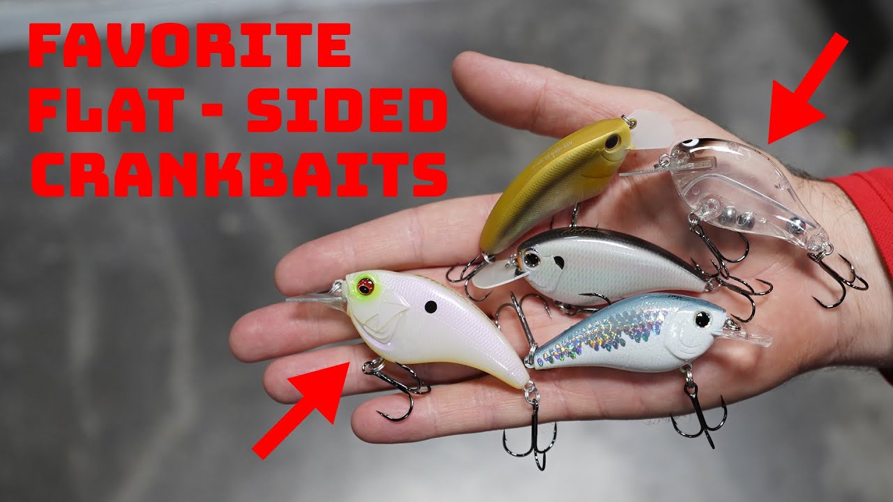 Our Top 5 Favorite Flat Sided Crankbaits To Catch More Fish In The Fall With!