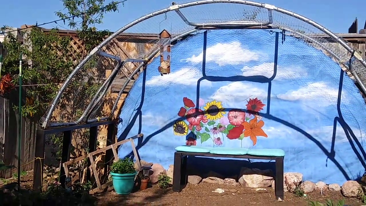 Small Yard Big Garden Gardening in New Mexico Soil