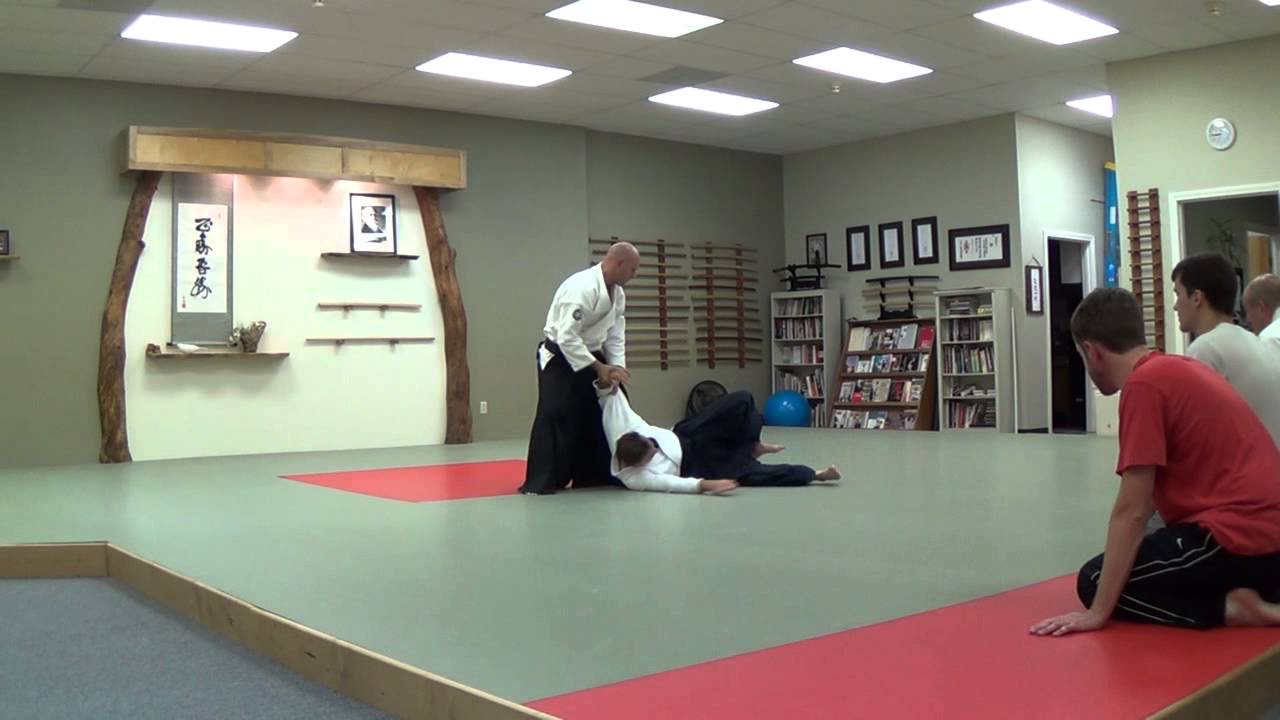 Bushikan Aikido 2014