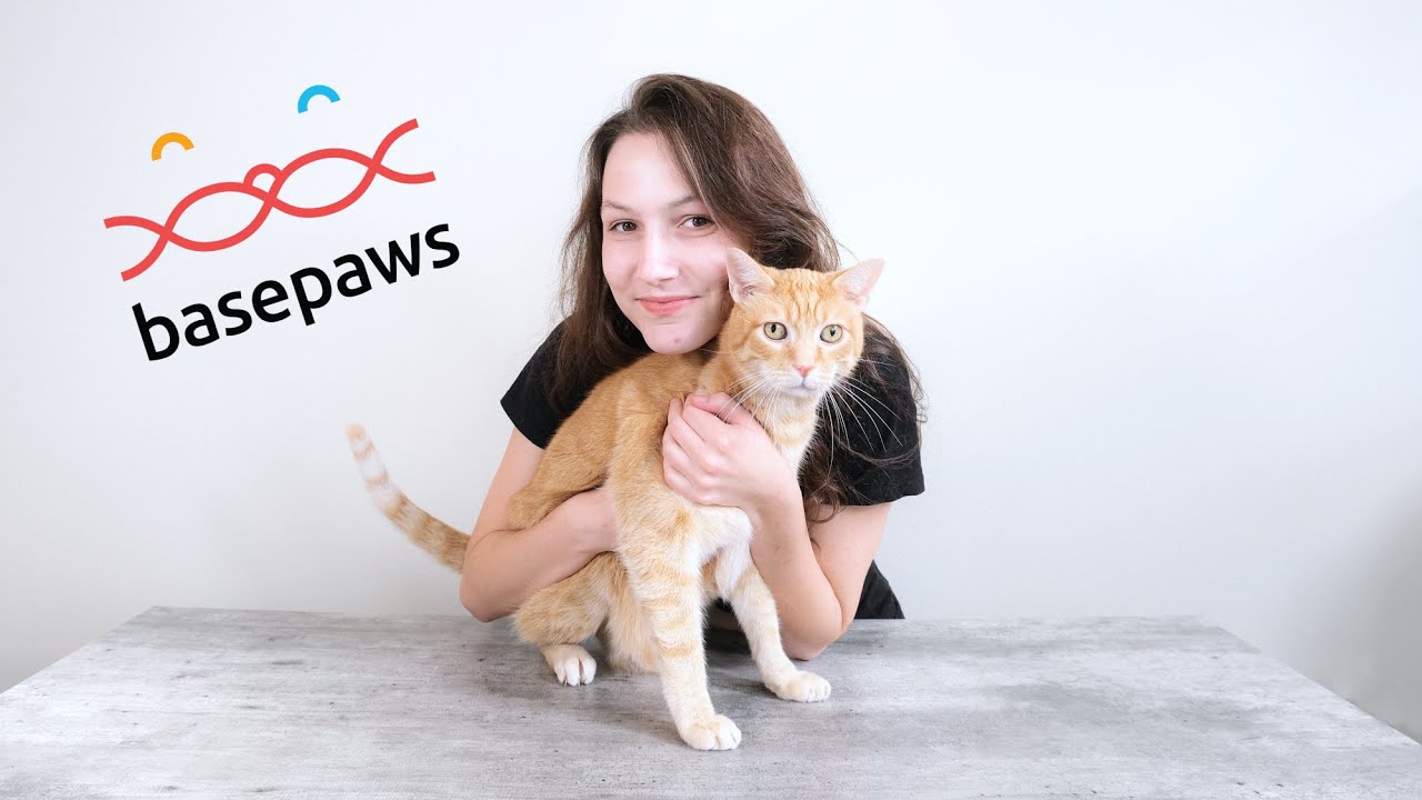 Basepaws Cat DNA Test Review (We Tested It)