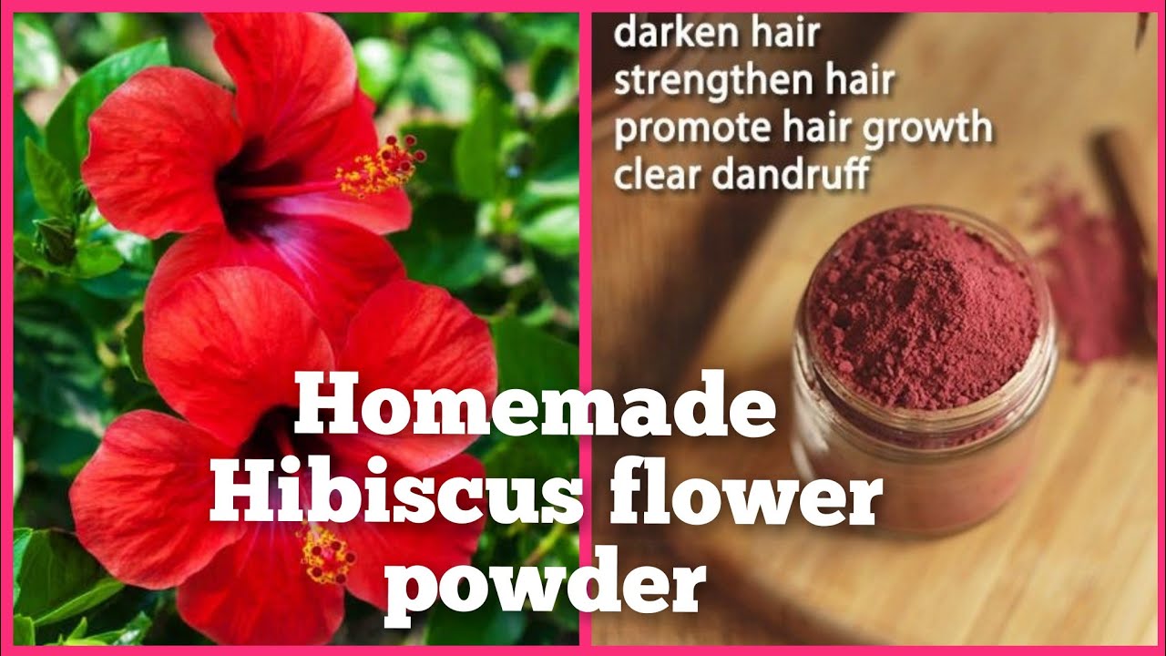 HOMEMADE HIBISCUS FLOWER POWDER FOR HAIR & SKIN CARE