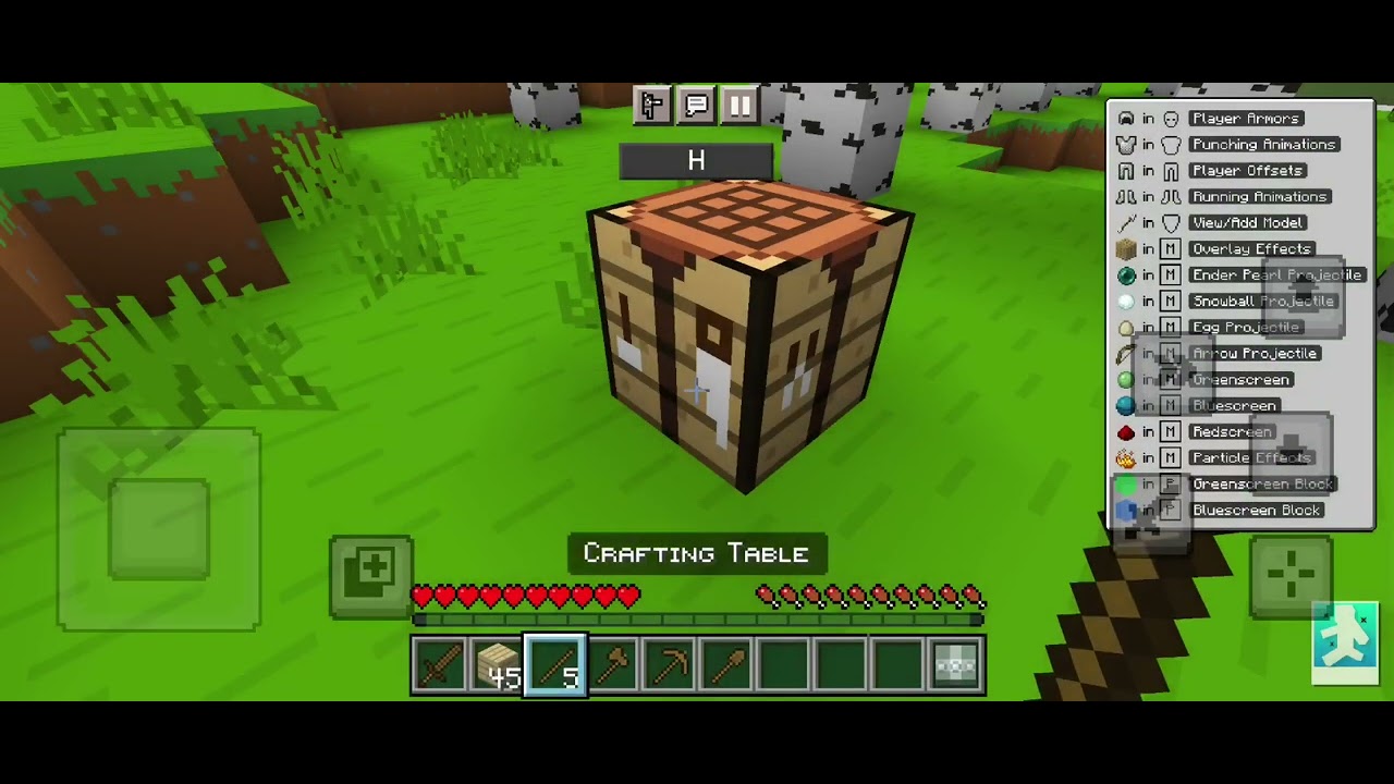 Playing Minecraft until I die