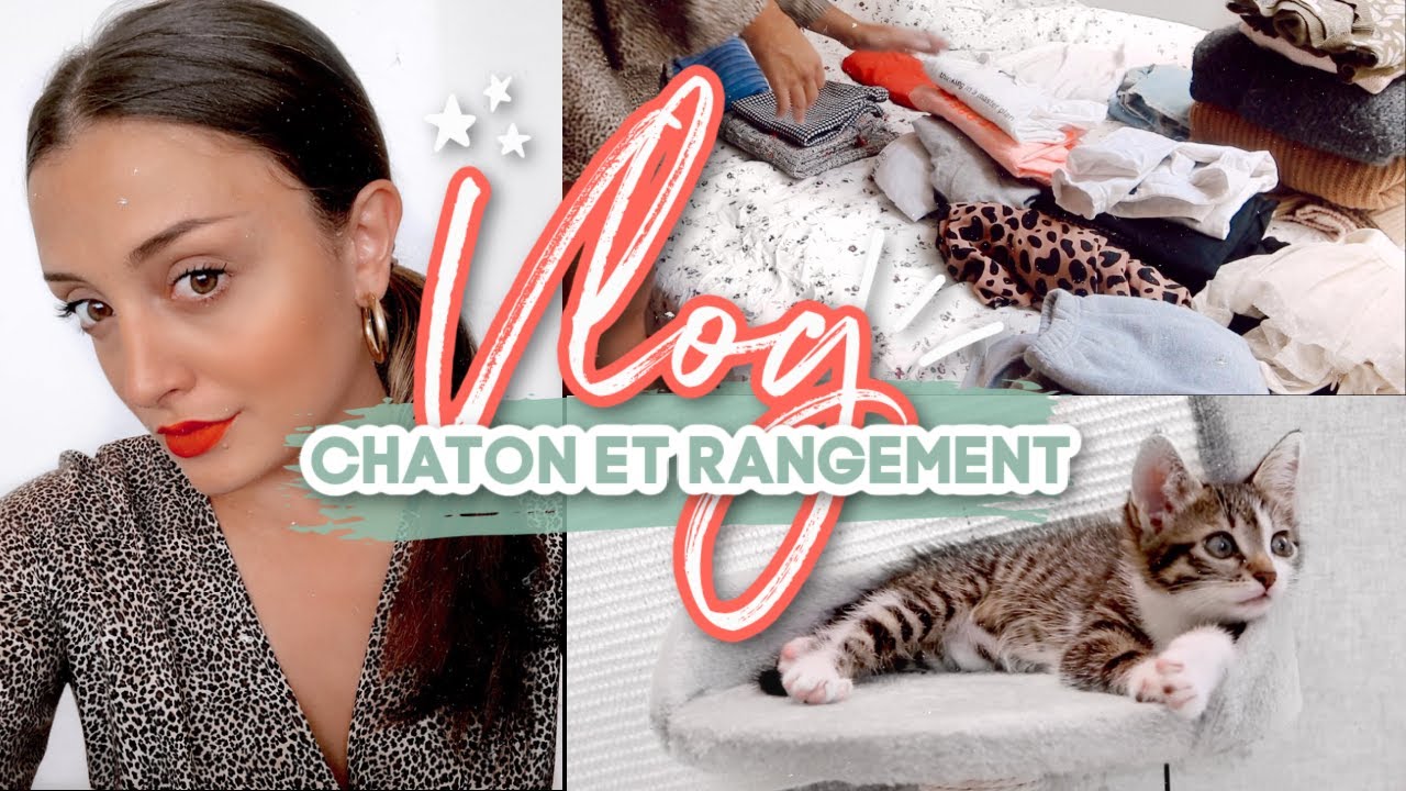 VLOG / On adopte un chaton + gros rangement !!