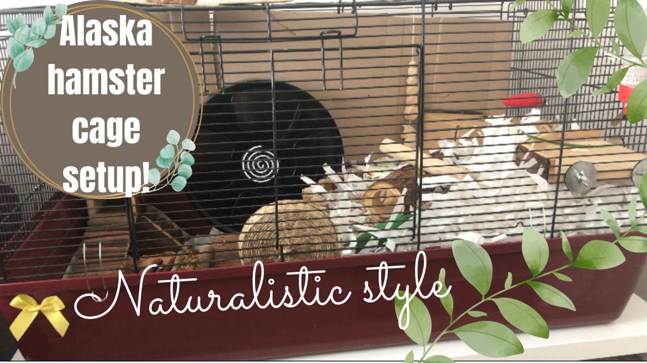 Naturalistic ALASKA hamster cage setup!