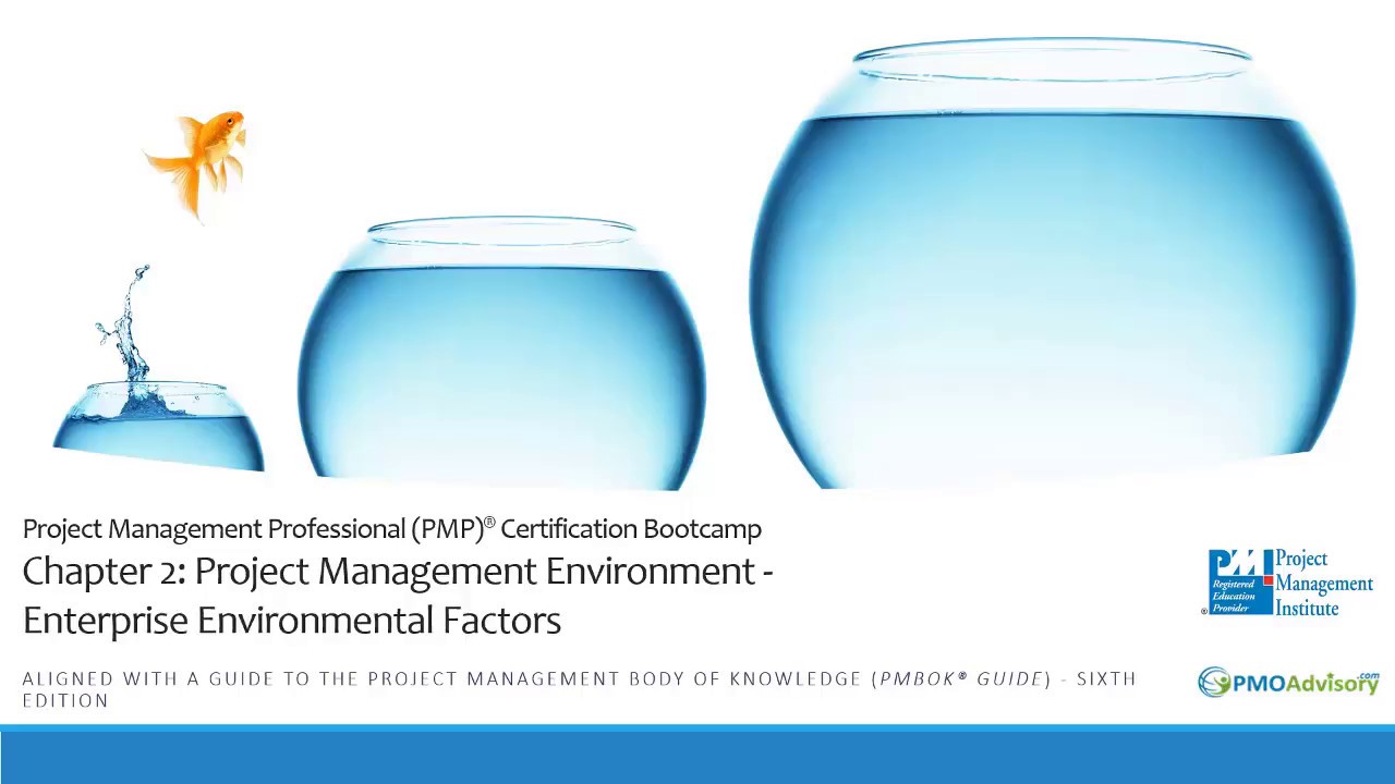 Chapter 2 Project Management Environment, Enterprise Environmental Factors