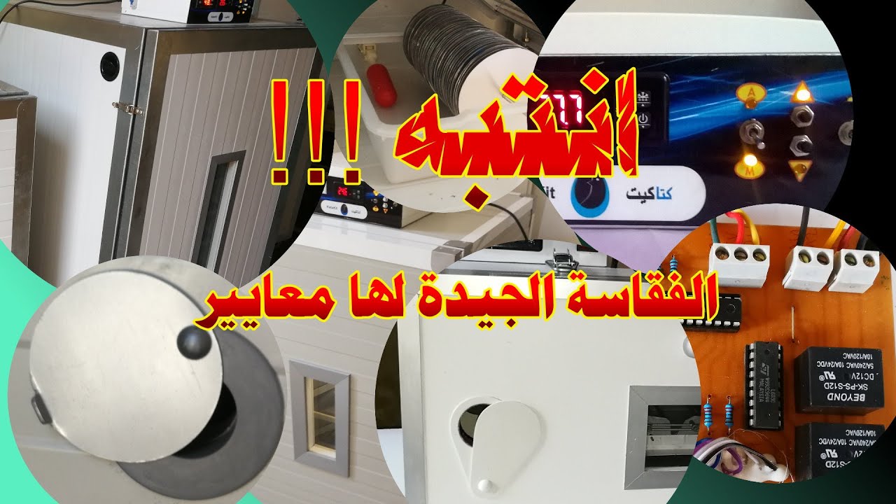 معايير مهمة من أجل فقاسة جيدة