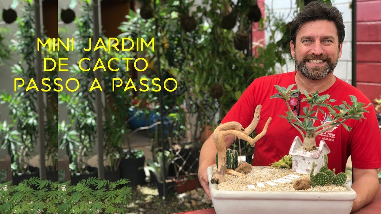 Como fazer Mini Jardim de Cacto Passo a Passo