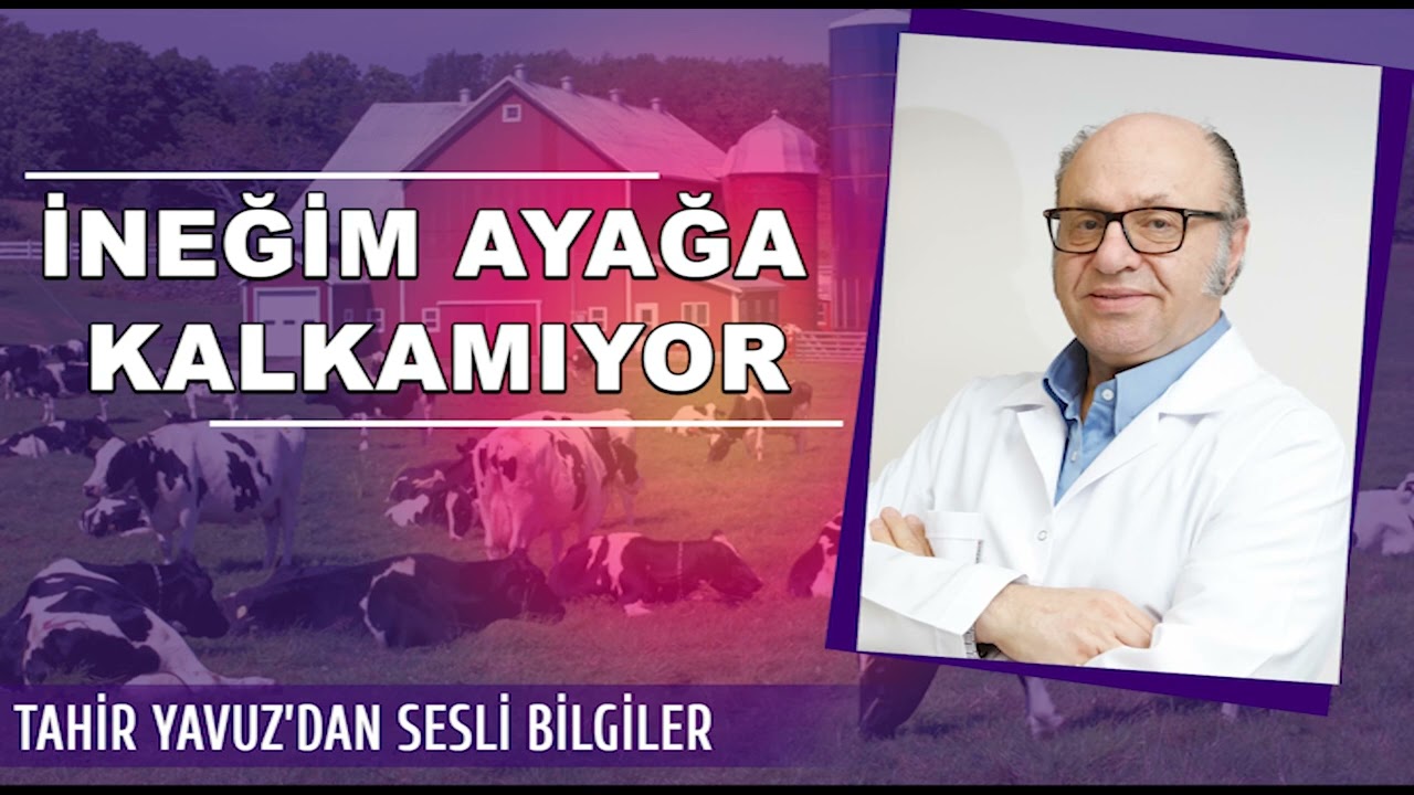Tahir Yavuz'dan Sesli Bilgiler 