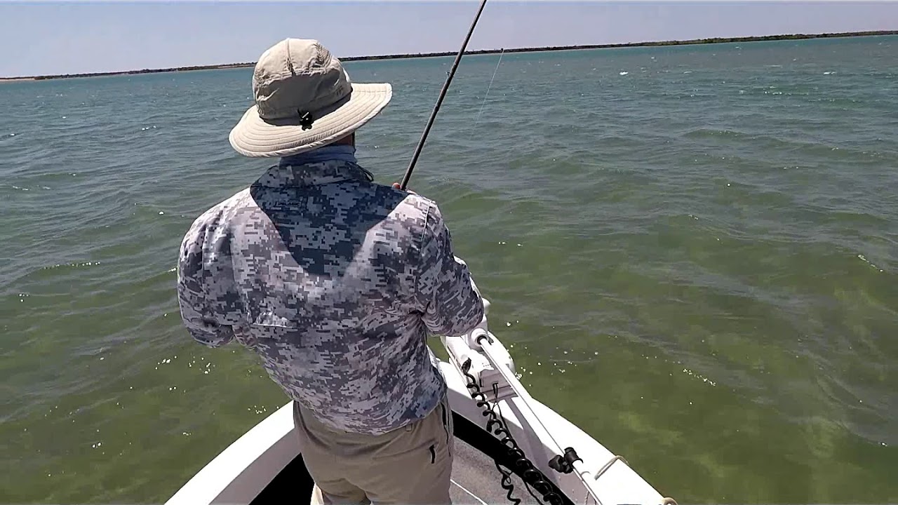 Exmouth Permit on Fly