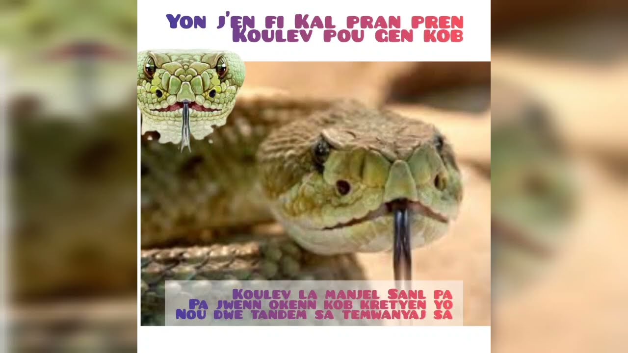 Temwanyaj Emmanuel Etienne/ Yon jèn demwazel kal pran pren koulev pou ka gen la koulev la manjel