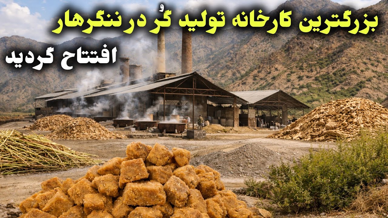 کارخانه گر در ننگرهار تولید روزانه ۱۰۰۰ ها کیلو