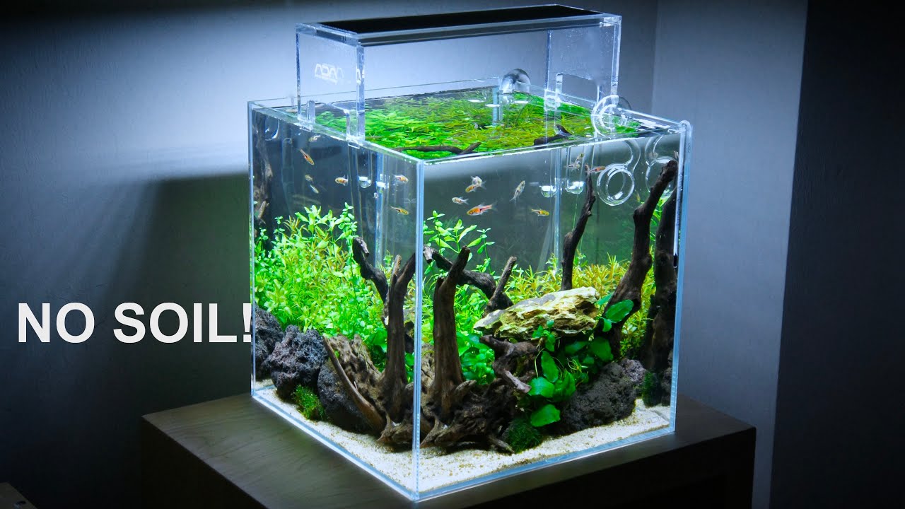 Making a Nano Nature Aquarium with Wabi-kusa