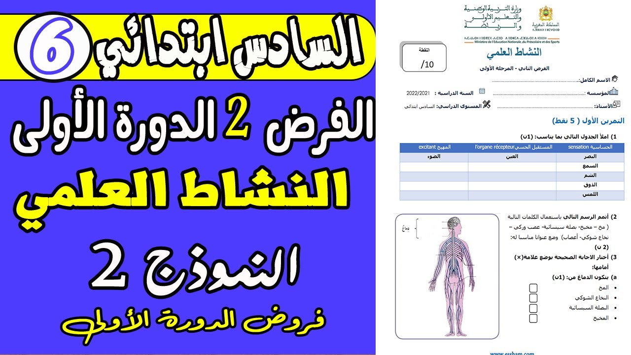 فروض المستوى السادس دورة الأولى |الفرض الثاني الدورة الأولى مادة النشاط العلمي المستوى السادس نموذج2