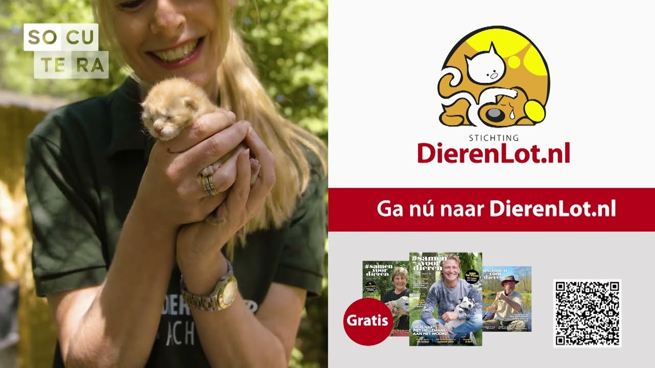 Deze week bij Socutera op NPO: DierenLot