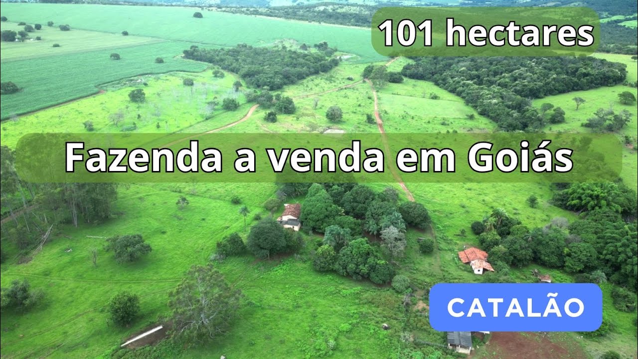 VENDIDA - Uma fazenda a venda com muito potencial de agricultura e pecuária