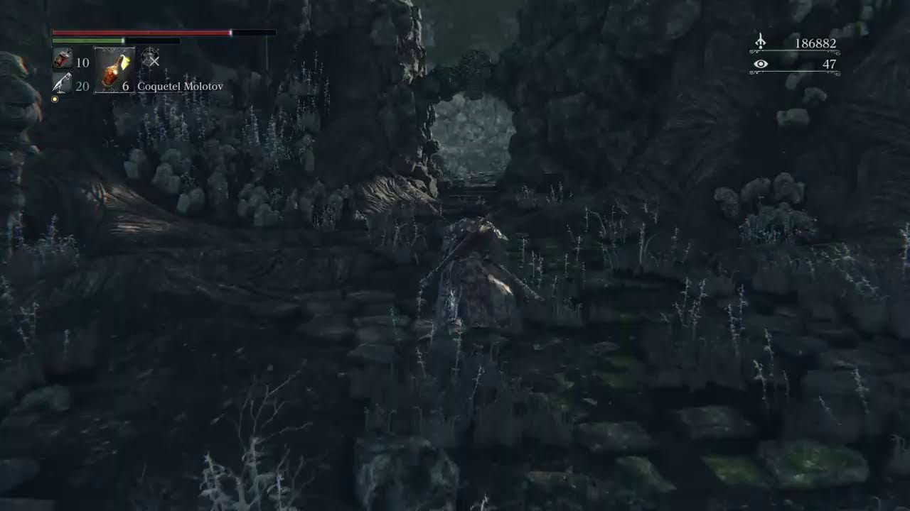 Bloodborne Digao