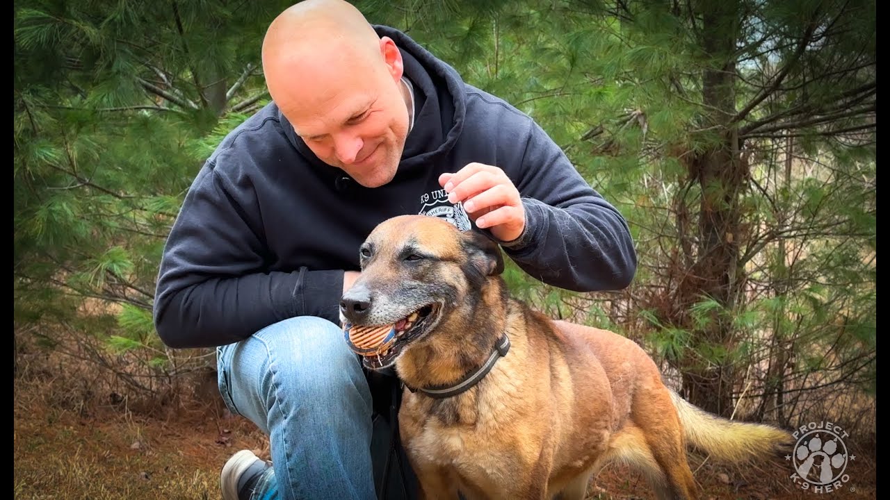 Project K-9 Hero Adoption: Mike and Ryka