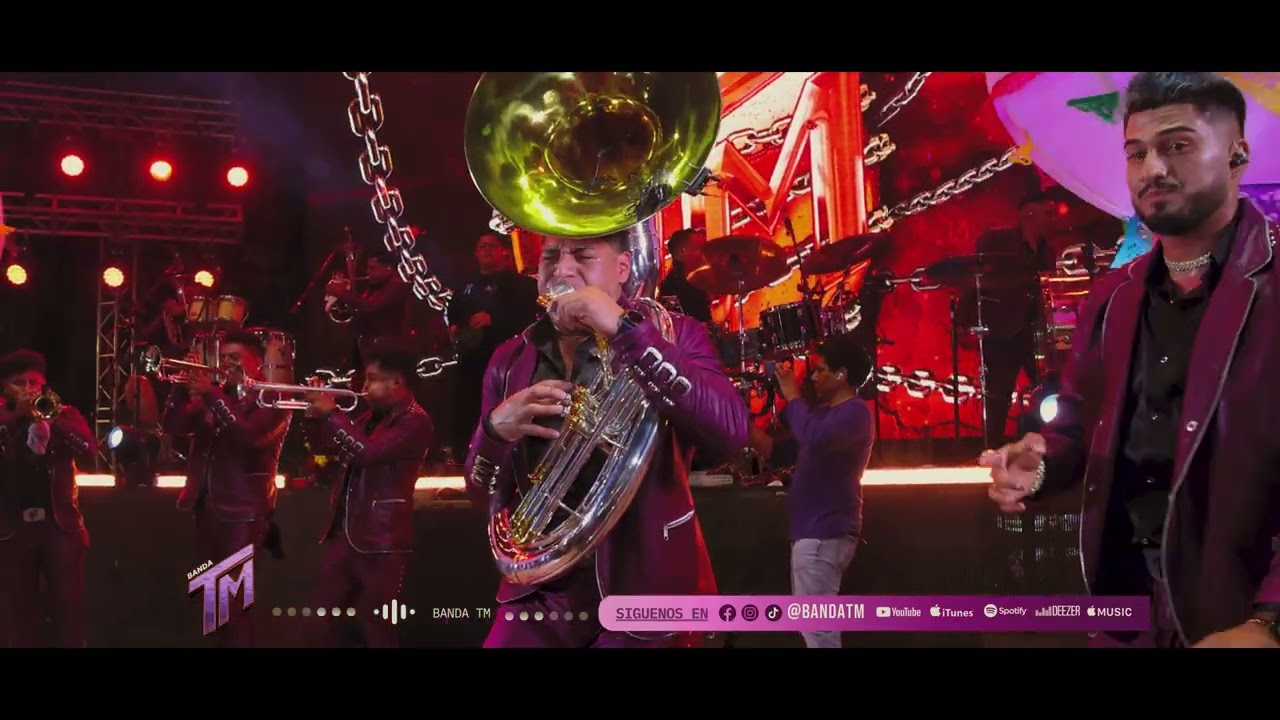 TE IRA MEJOR SIN MI - BANDA TM
