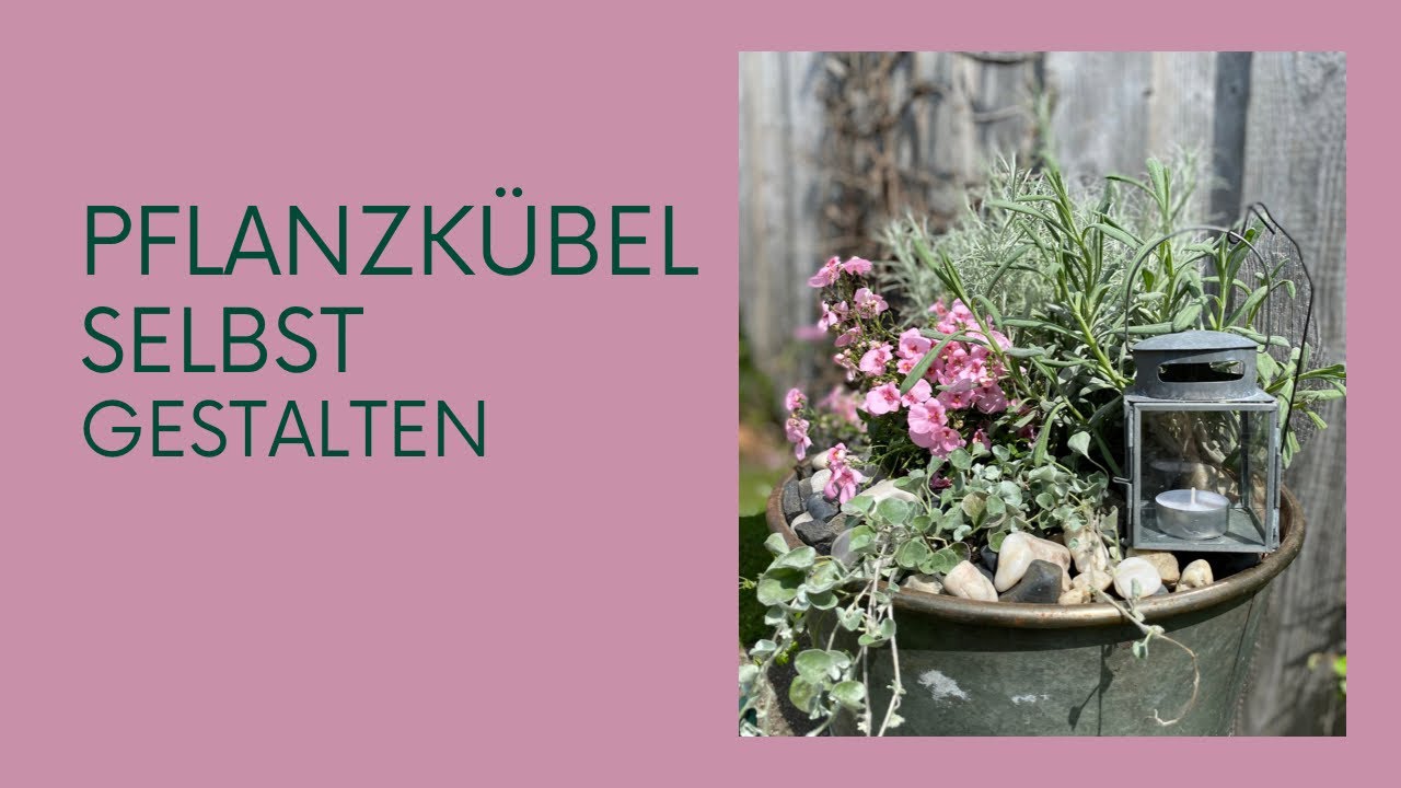 Pflanzenschale selbst bepflanzen 💚 Sommerbepflanzung 💚 DIY Inspiration