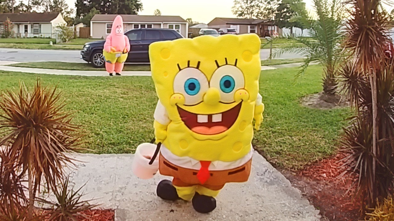 The Best Doorbell Videos Ever