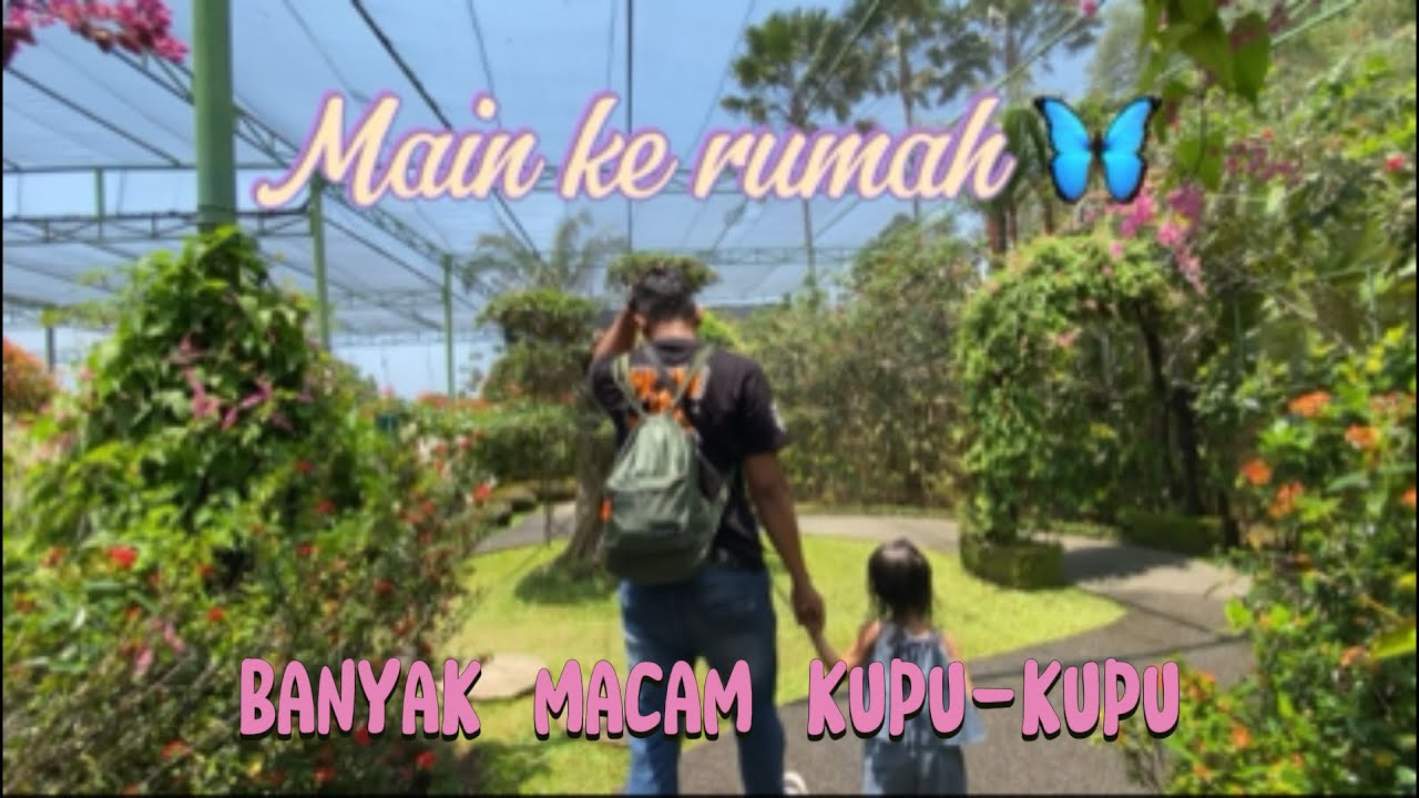 MAIN KE KEMENUH BUTTERFLY PARK GIANYAR BALI