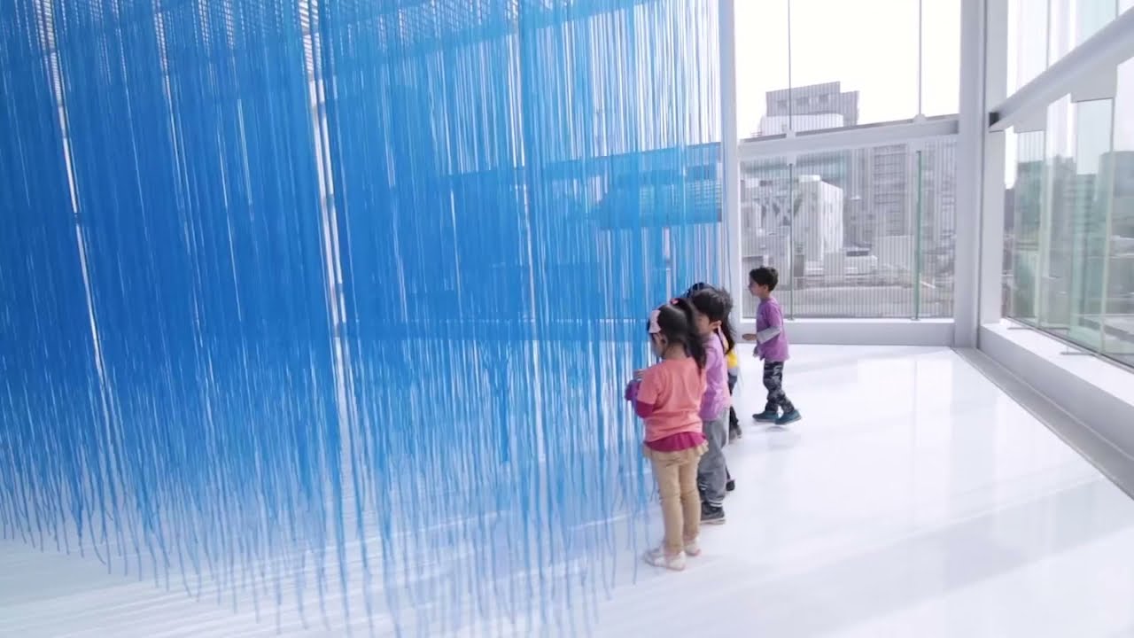 Amazing Art Installation by Jes&uacute;s Rafael Soto