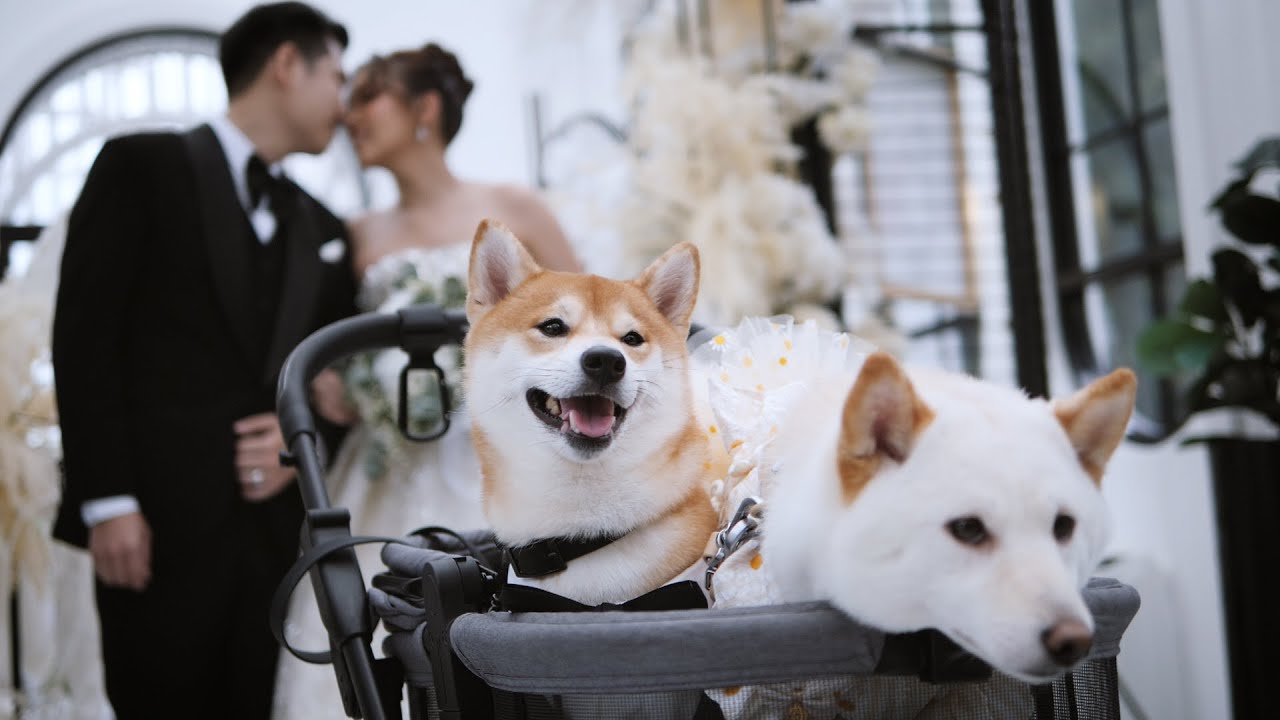 Chanunya & Nopparut  @Casa de proud คาซ่าเดอพราว