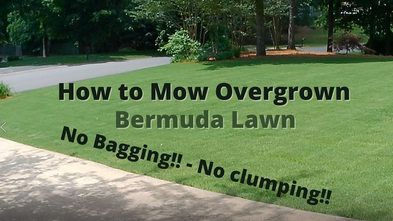 How to Mow Overgrown Bermuda Lawn - With Rotary Mower - No Bagging - Clean Results