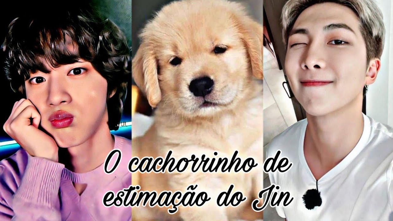 ASMR NAMJIN - O CACHORRINHO DE ESTIMAÇÃO DO JIN