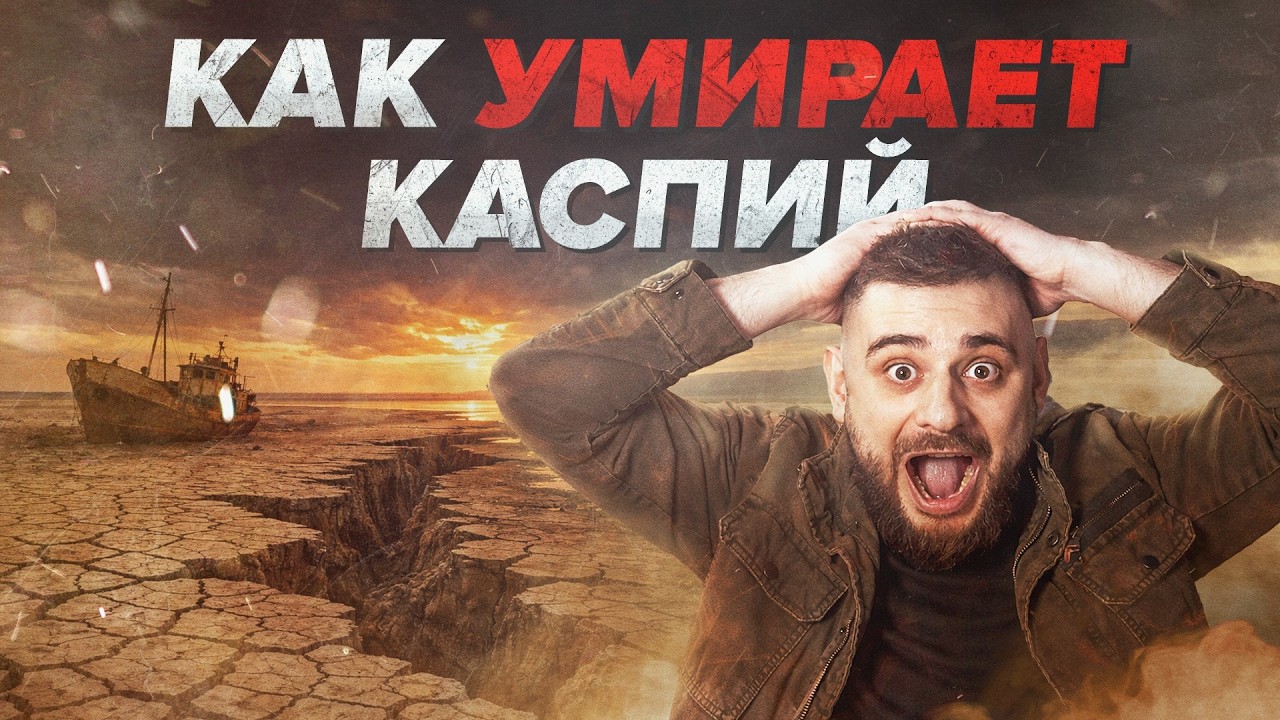 Как умирает Каспий: обмеление, гибель нерп и исчезновение моря | Сортировочная