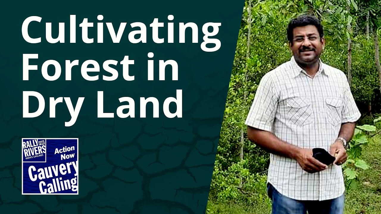 Cultivating Forest in the Dry Land of Kullappa Nayakkanur