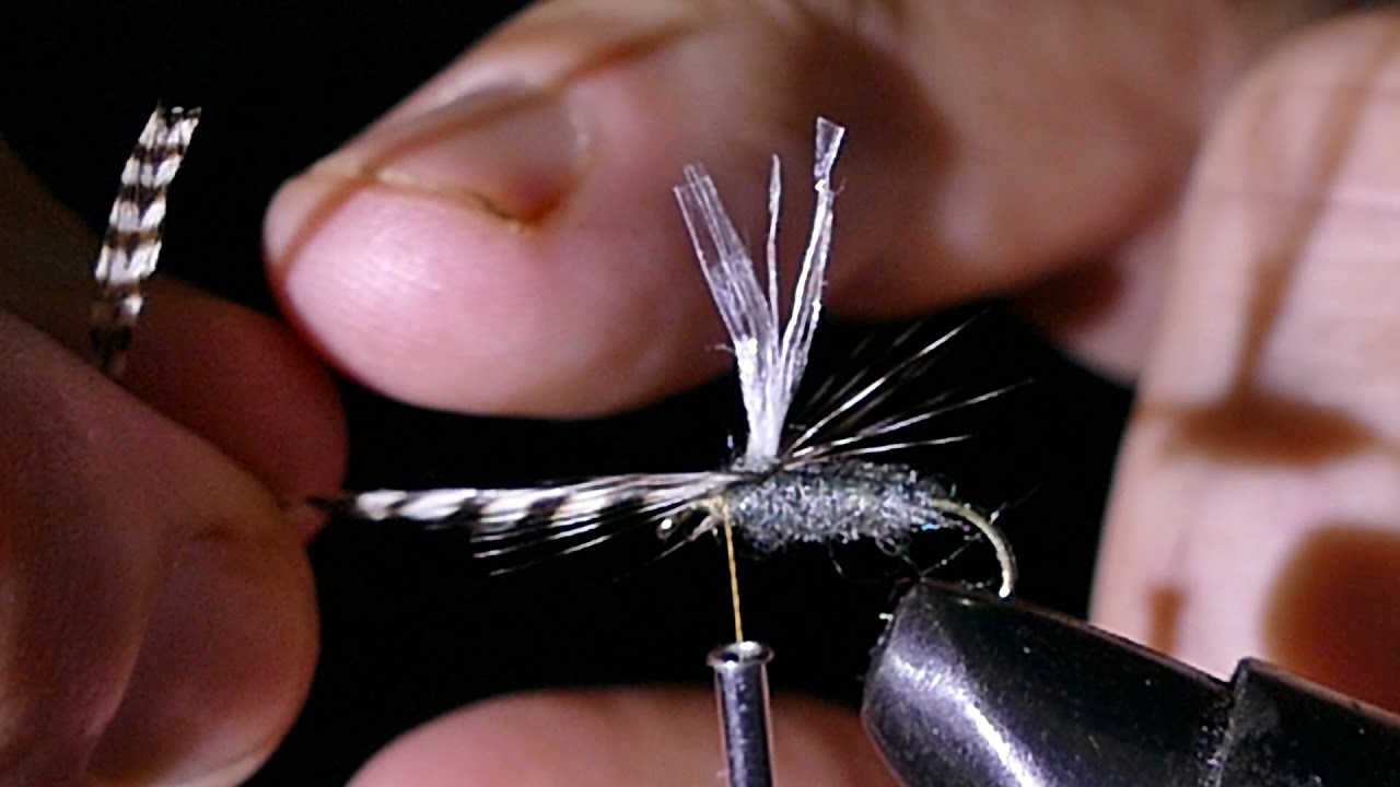 Vinget fjærmygg, midge