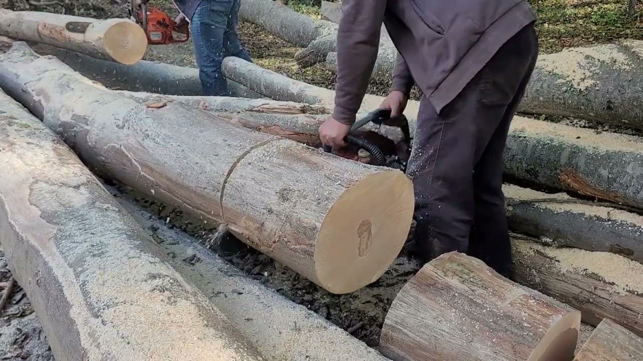 Drujba Retezat 755