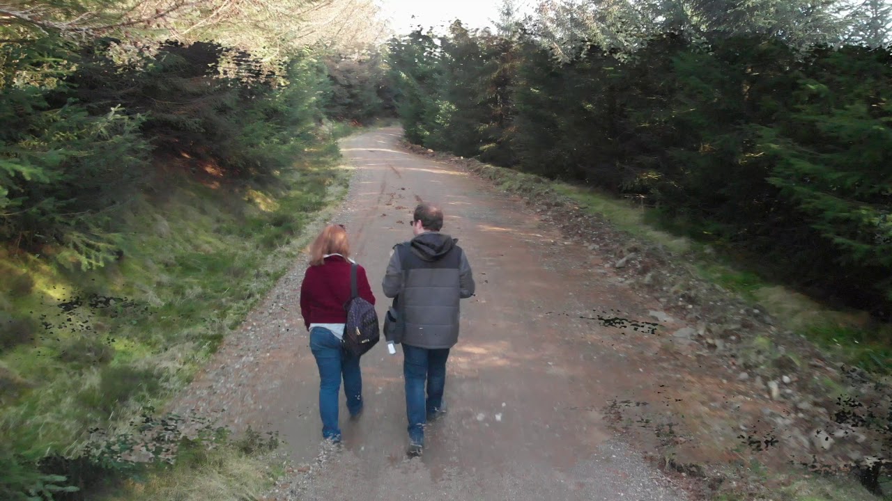 Drumtochty Forest, Aberdeenshire (DJI Mavic Air)