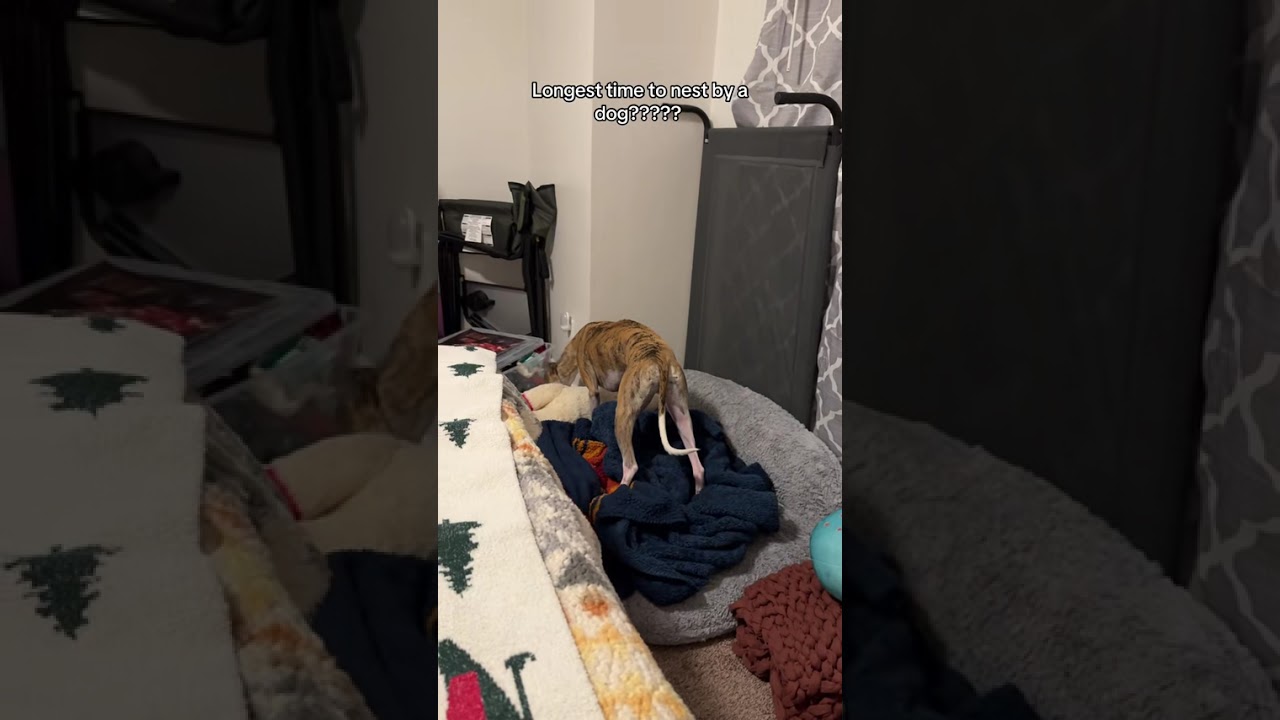 Oliver took a long time to nest! 