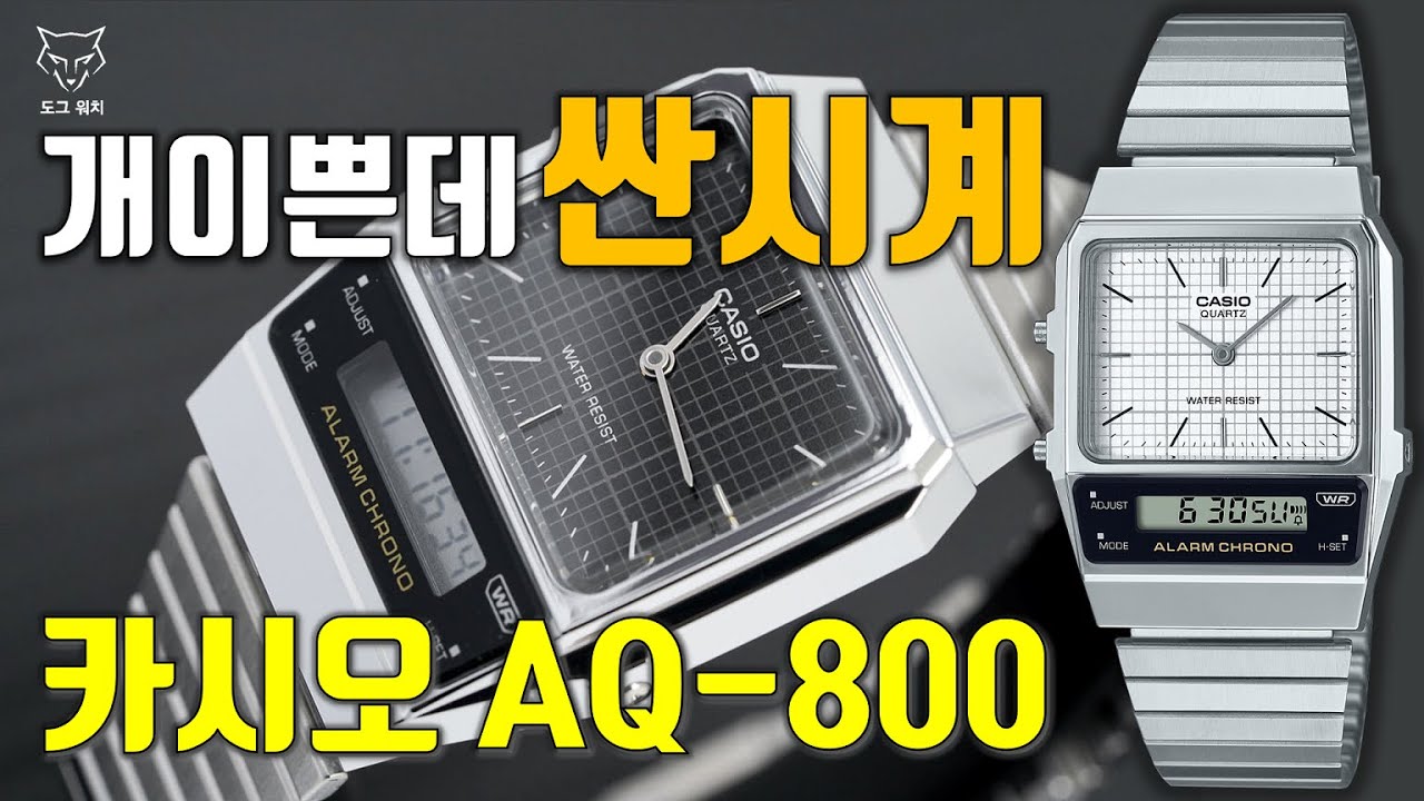 [도그워치 리뷰#100] 개이쁘고 싼시계 카시오 4만원대 AQ-800 가성비 특집 리뷰 카시오는 사랑입니다